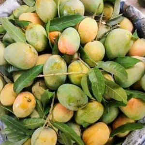 ৫ কেজি আমের রাজা হিমসাগর (৩/৪ টায় ১ কেজি)